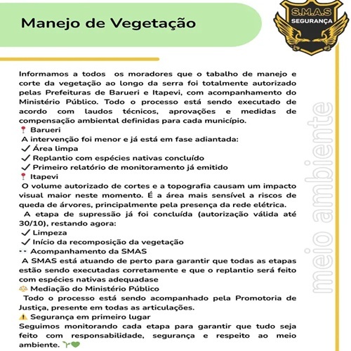 Manejo de Vegetação: responsabilidade ambiental e segurança